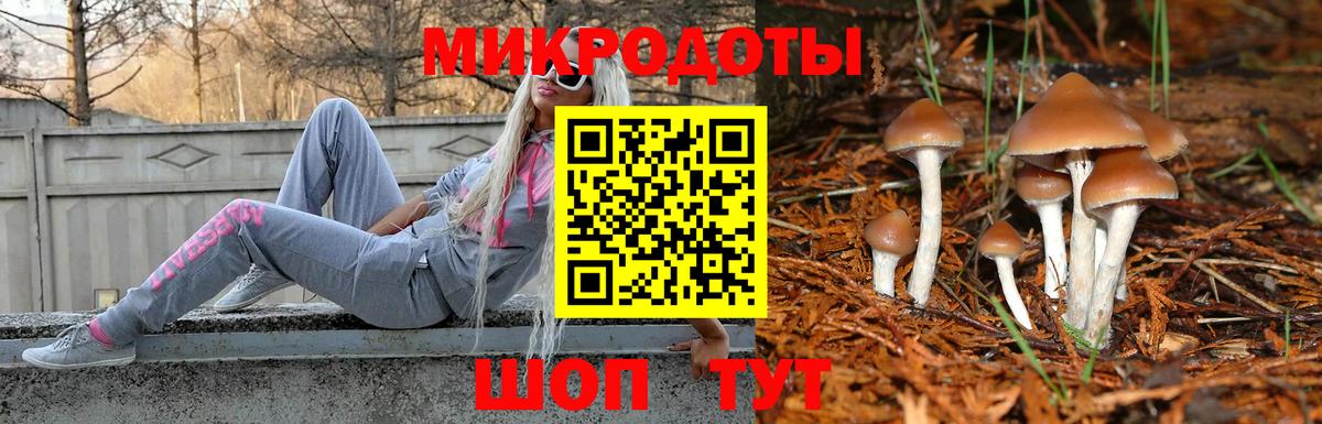 Галлюциногенные грибы Cubensis  Галлюциногенные грибы GOLDEN TEACHER  Вход с VPN  Можайск 
