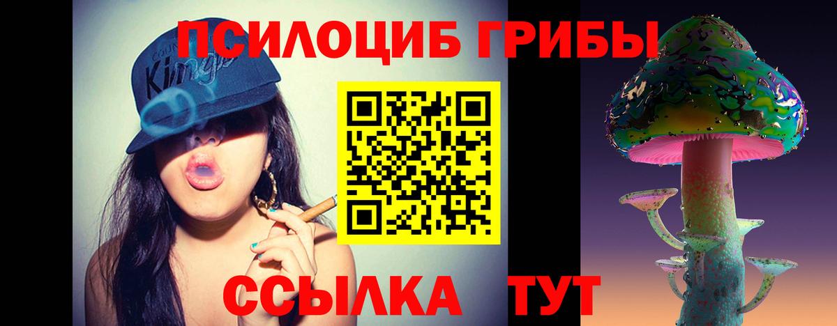 Псилоцибиновые грибы мухоморы Можайск